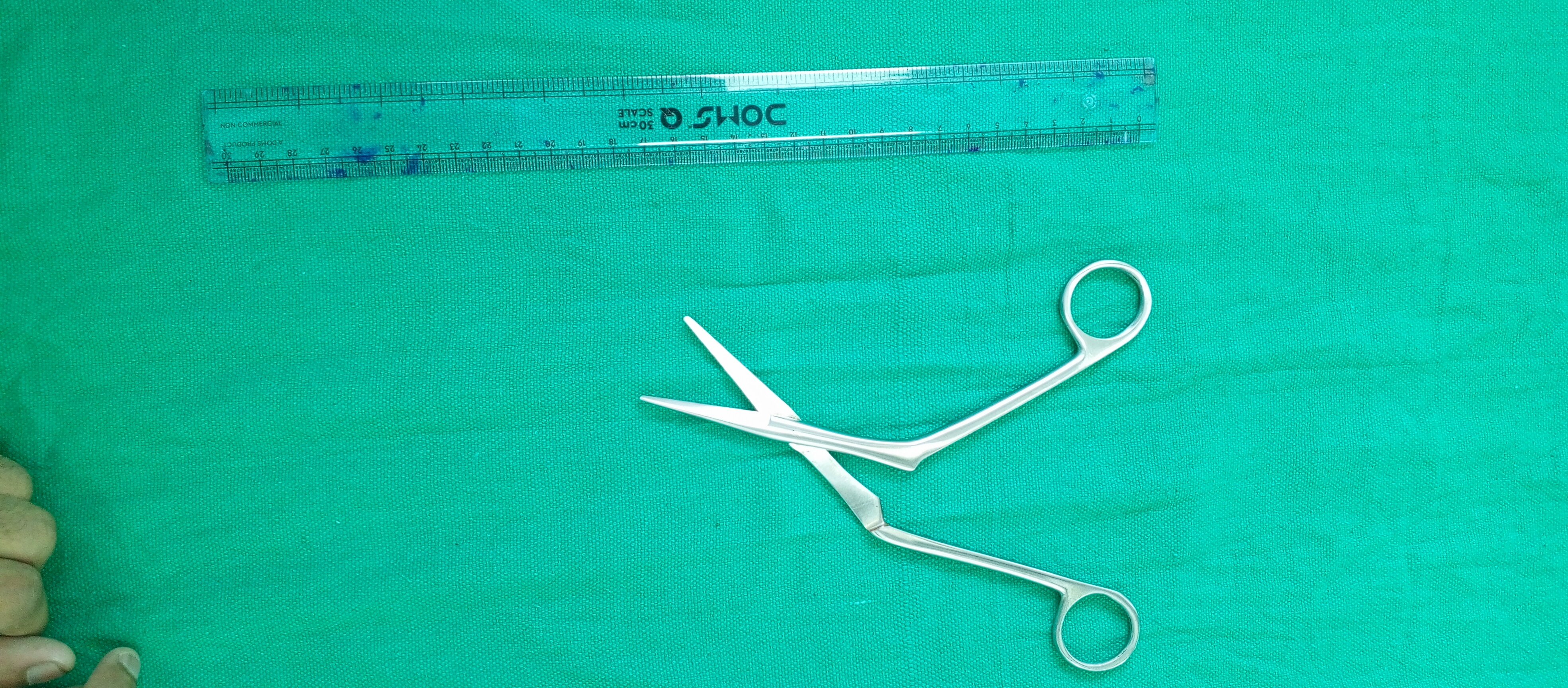 Heymann Nasal Scissors